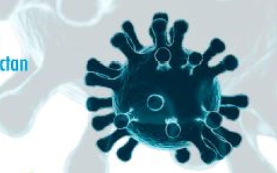 Coronavirus: 2º comunicado